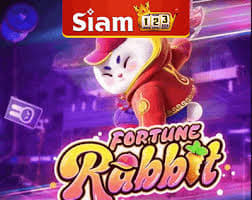 melhor horário fortune rabbit ícone