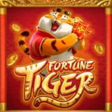 tigre fortune site - Slots Casino ícone